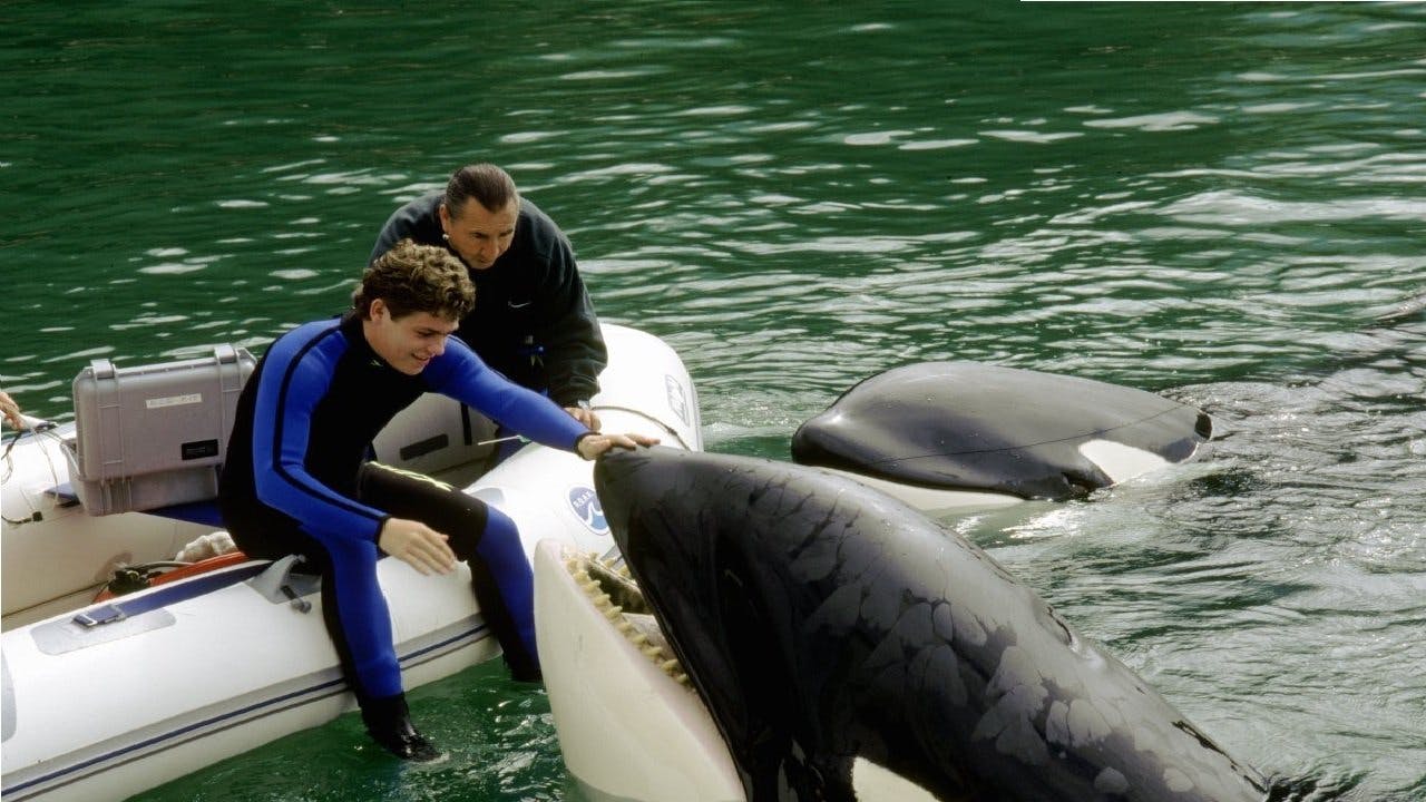 August Schellenberg Orca Free Willy Full Movie Dailymotion Free Willy III:  Die Rettung –, image size:1440x810