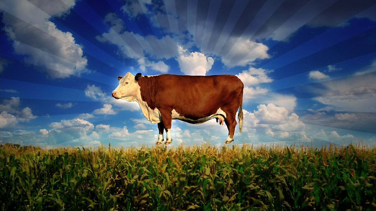 Food Inc Review Movie Empire Food Inc Review Movie Empire