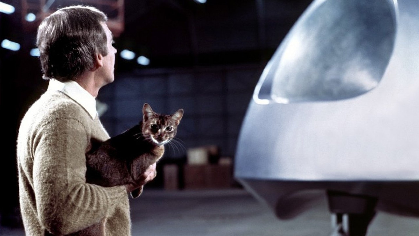 Cat From Outer Space , The
