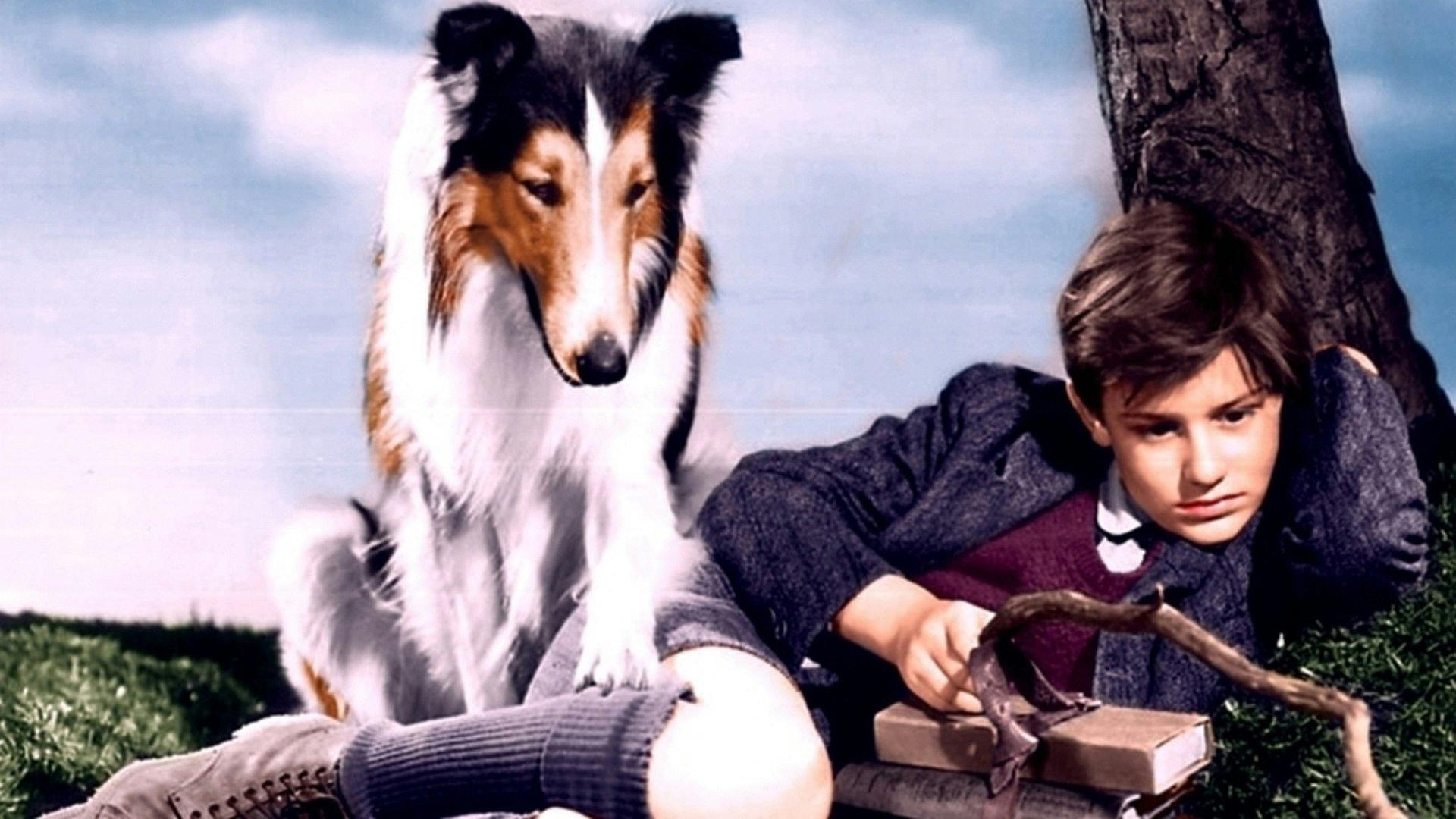 Lassie - Review - Movies - The New York Times
