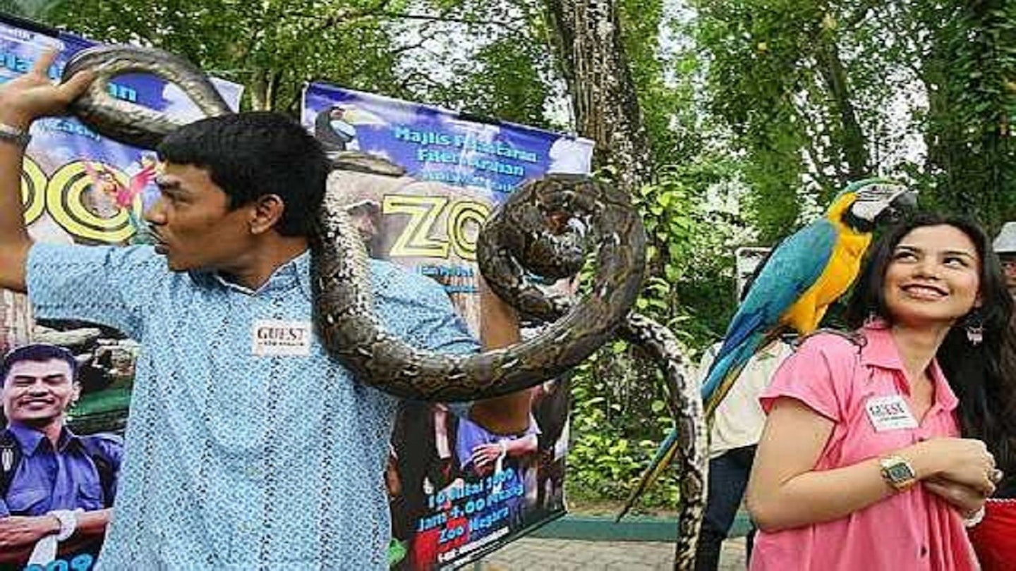 Zoo