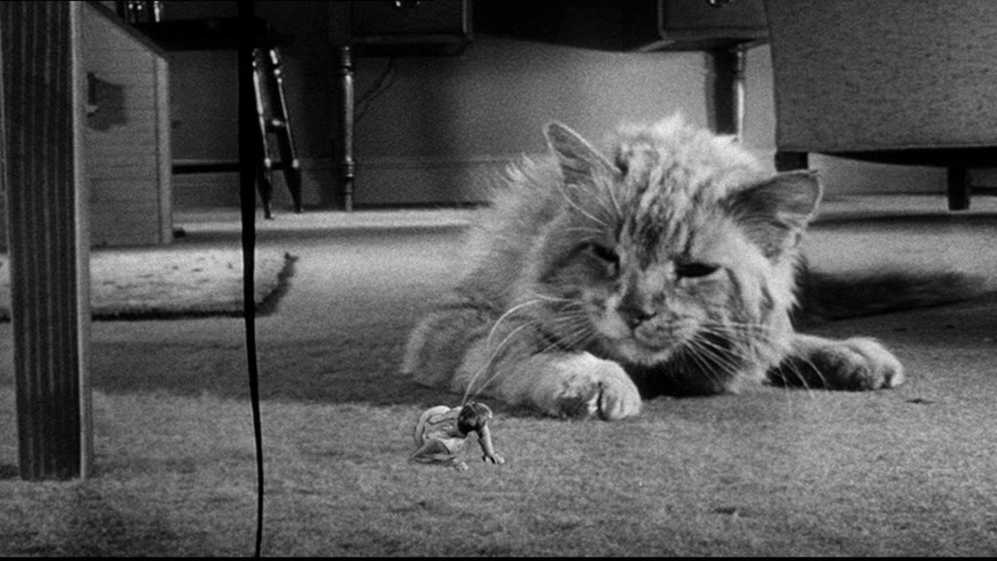 Incredible Shrinking Man , The