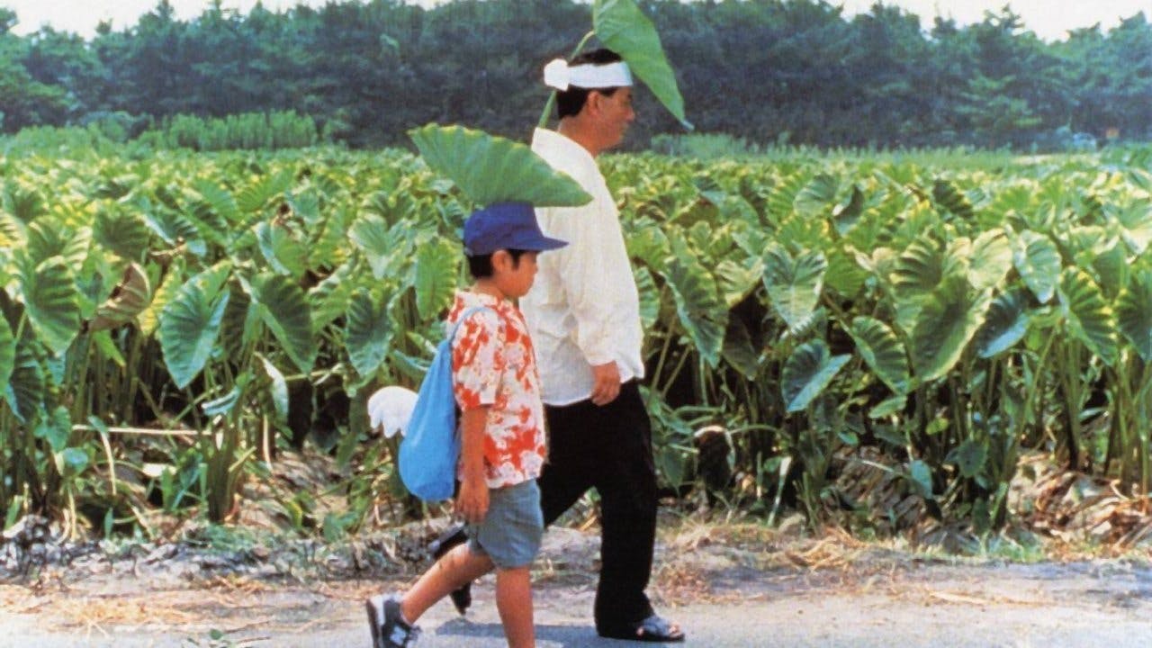 Kikujiro Review Movie Empire