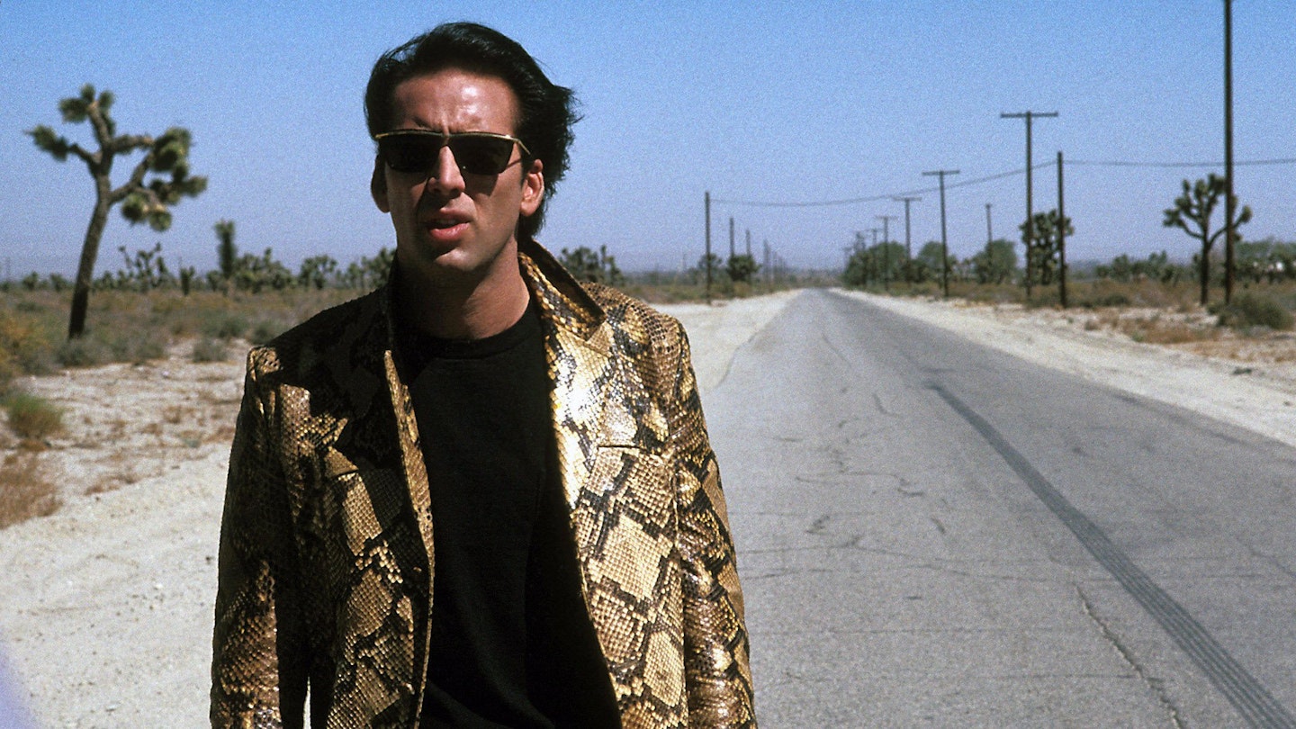 Wild At Heart Review