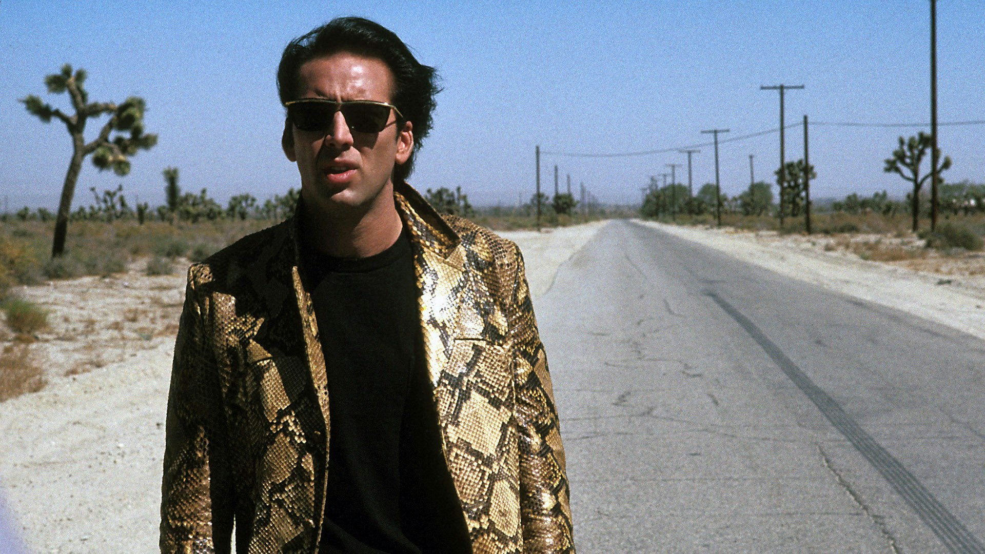 Wild at Heart (1990): There's No Need To Make Life Tougher Than It Has To Be