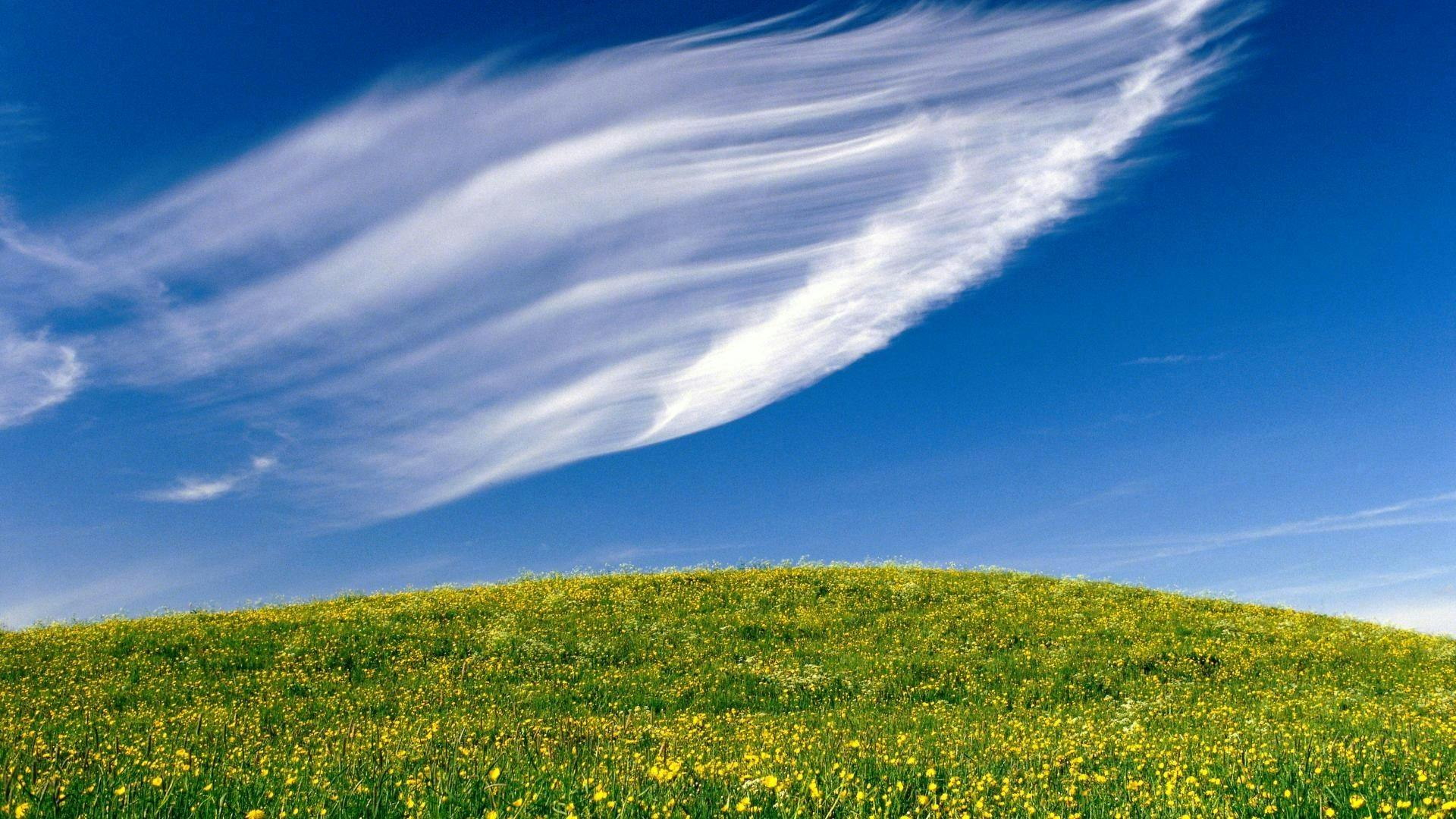 Одуванчик. Ветер необъятный. Небо летом. Ветер необъятный. Пейзаж небо.