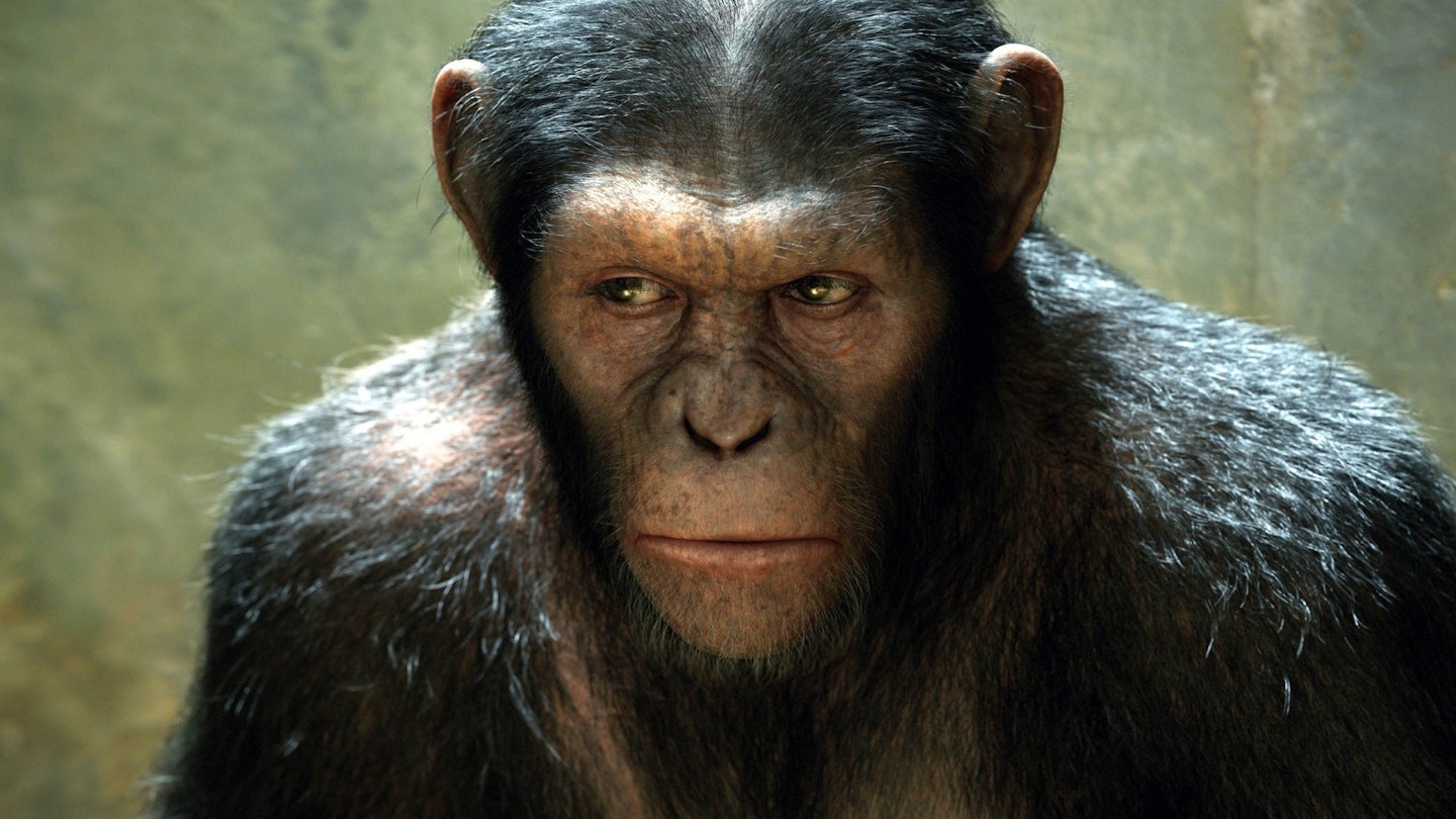 Planet Of The Apes Cooperative Board Game | For 1-4 Players | Designed By Richard Launius (Arkham Horror)