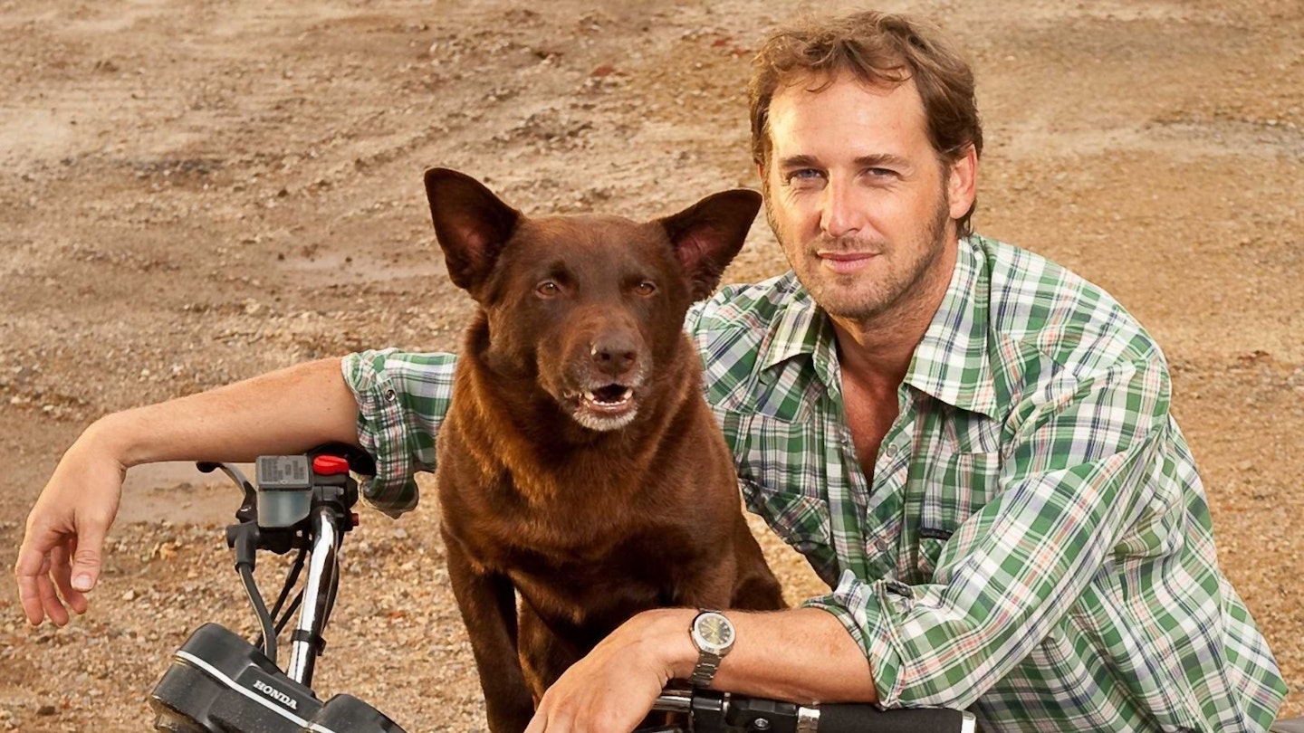 Red Dog Review | Movie - Empire