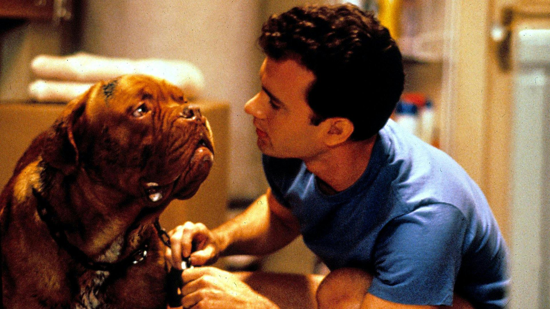 Turner and hooch store full movie online