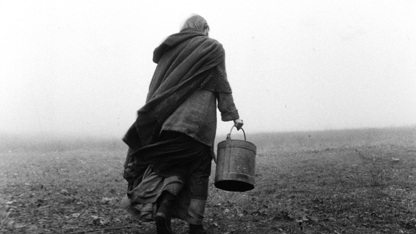 Turin Horse, The