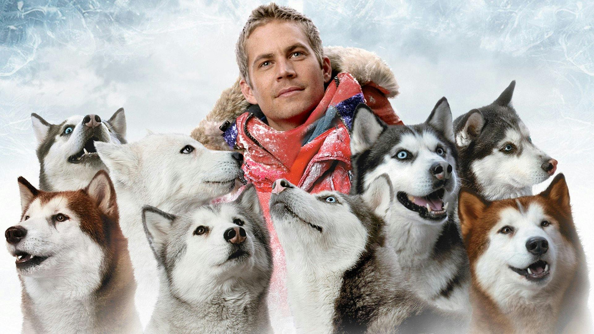 Eight Below Review | Movie - Empire, image size:1440x810