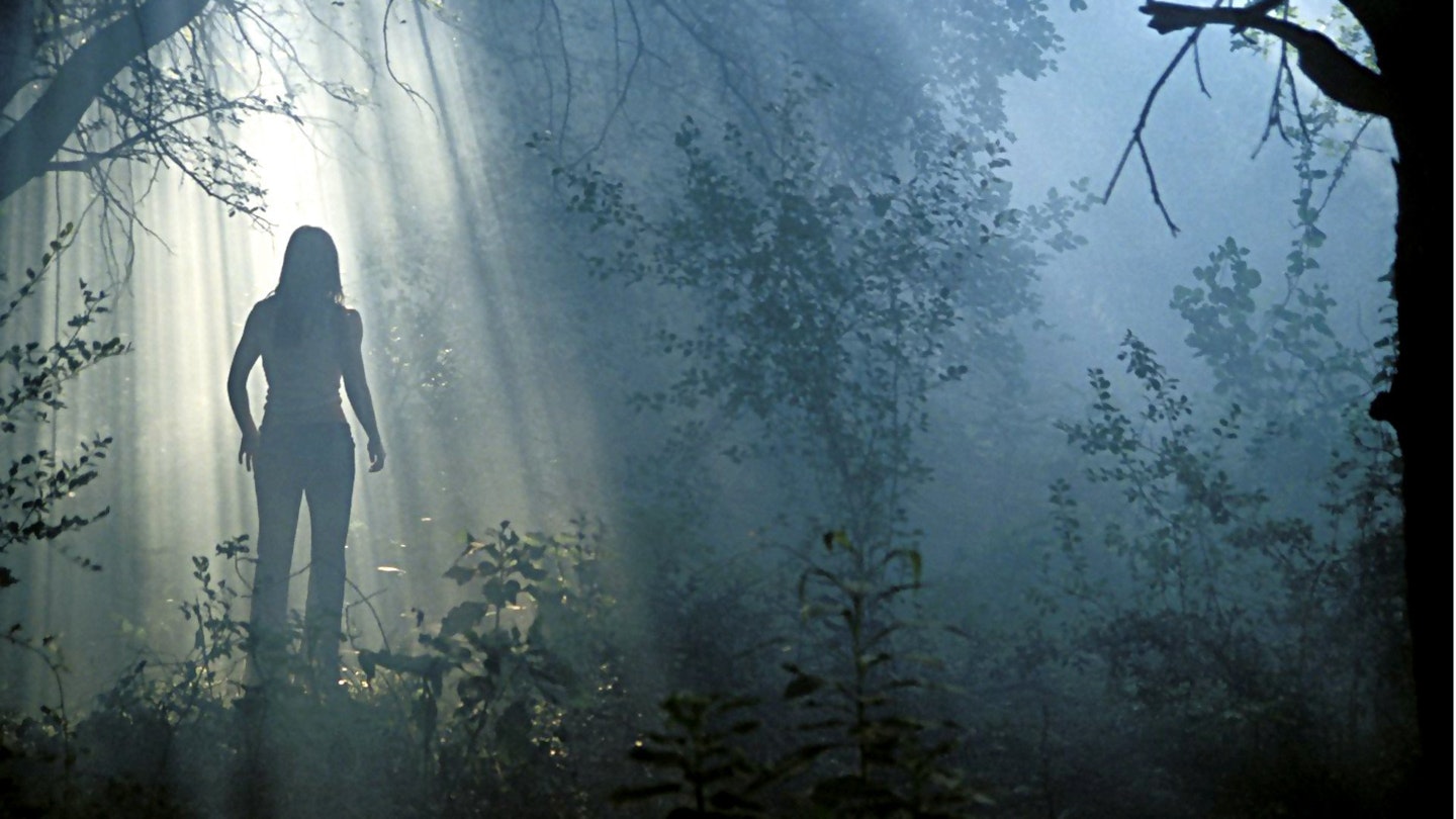 Texas Chainsaw Massacre, The