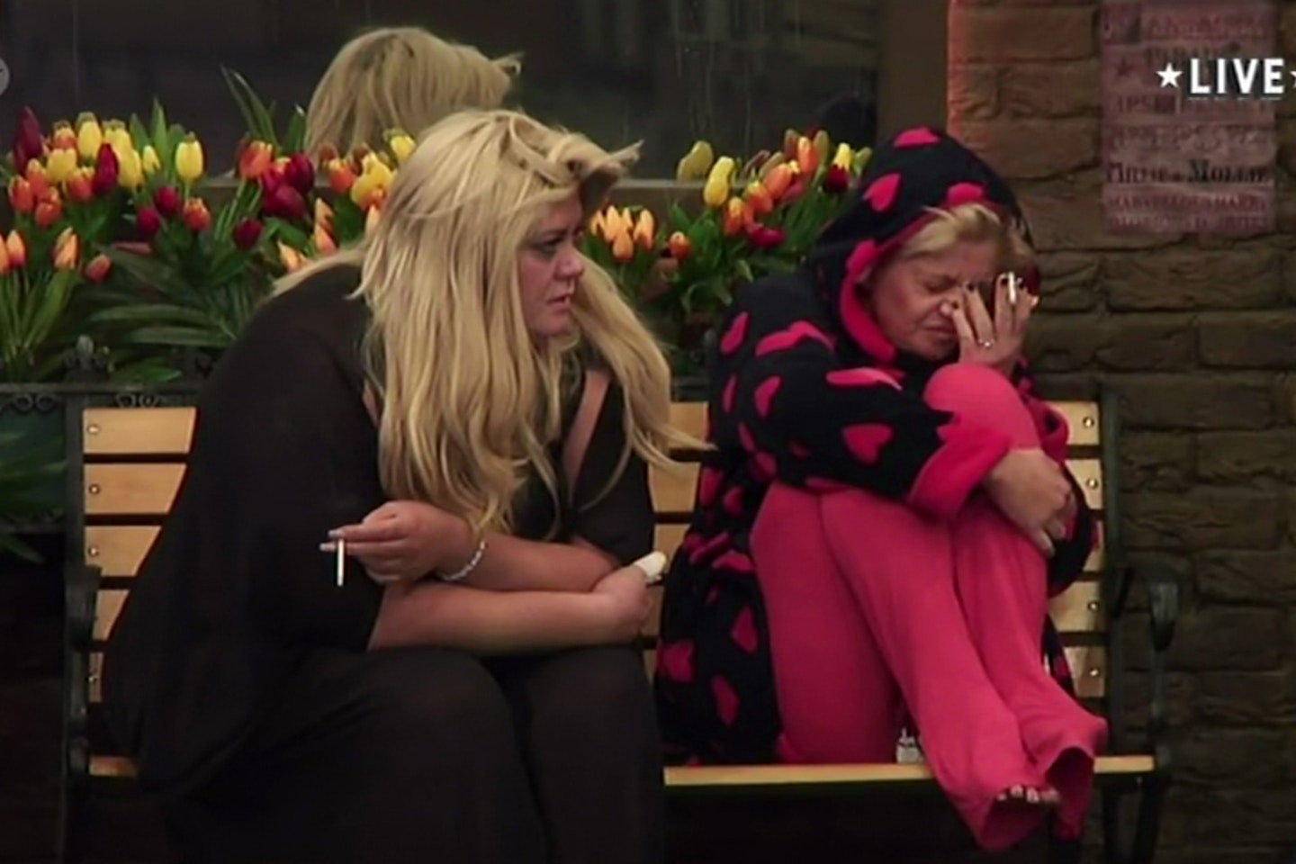 gemma collins and danniella in the cbb house