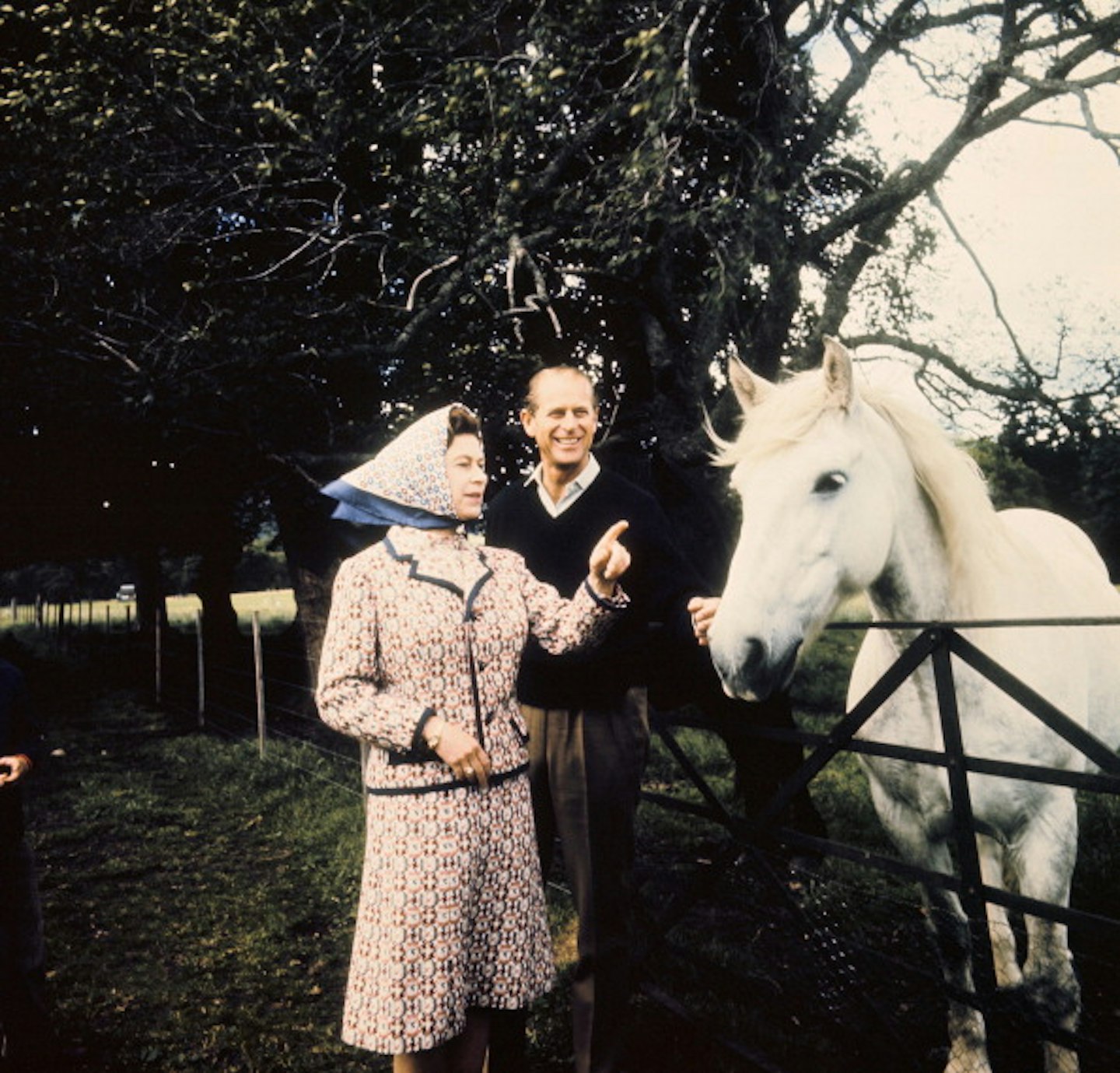 Queen Elizabeth II Price Phillip horse