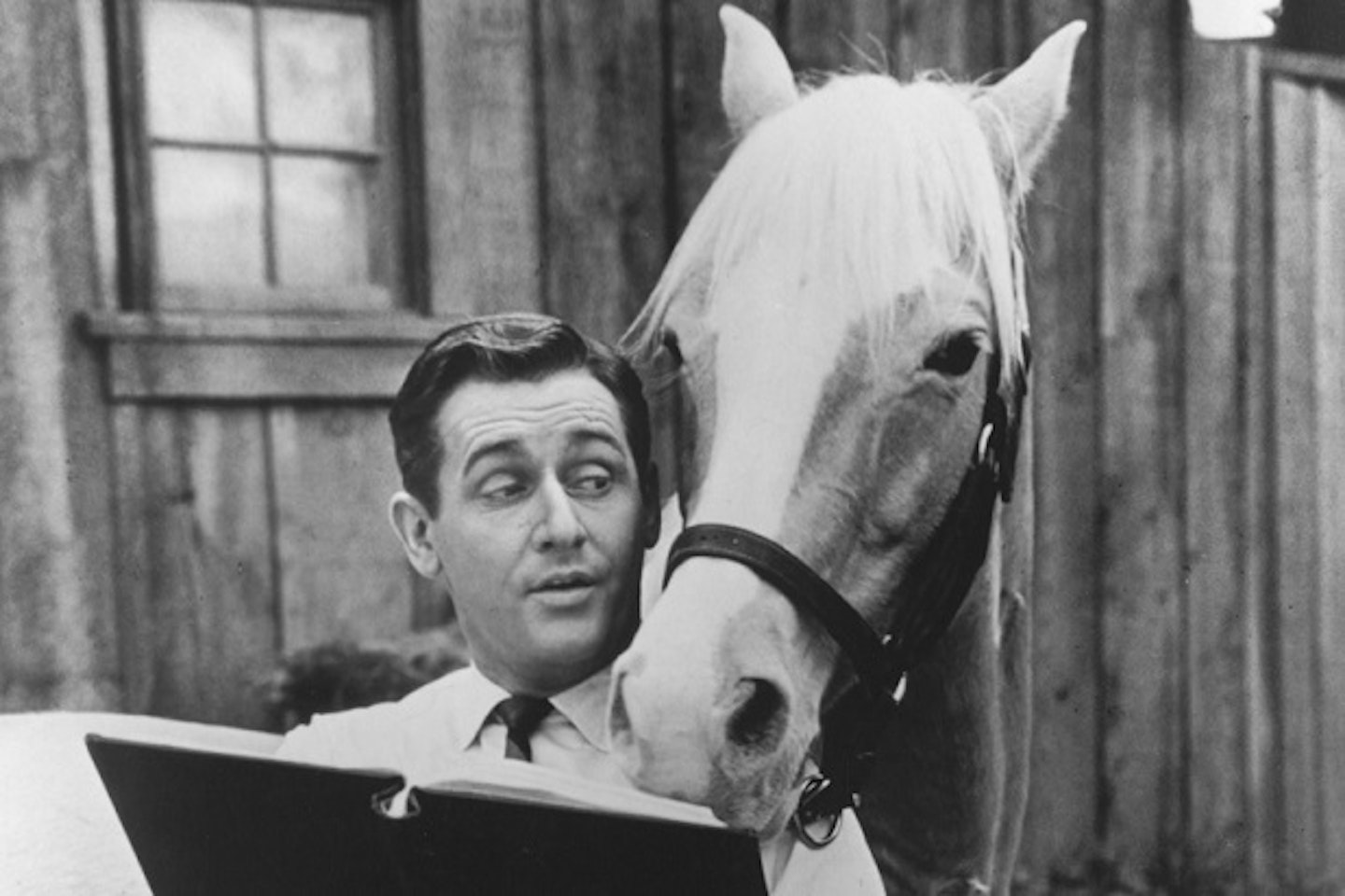 Alan Young in Mister Ed