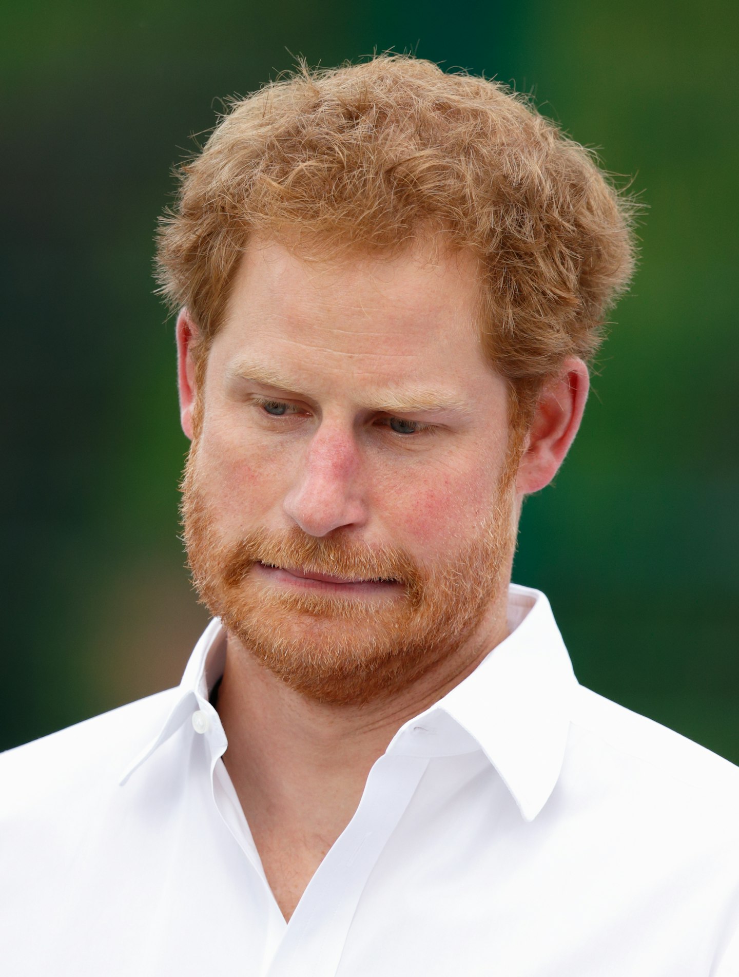 prince harry