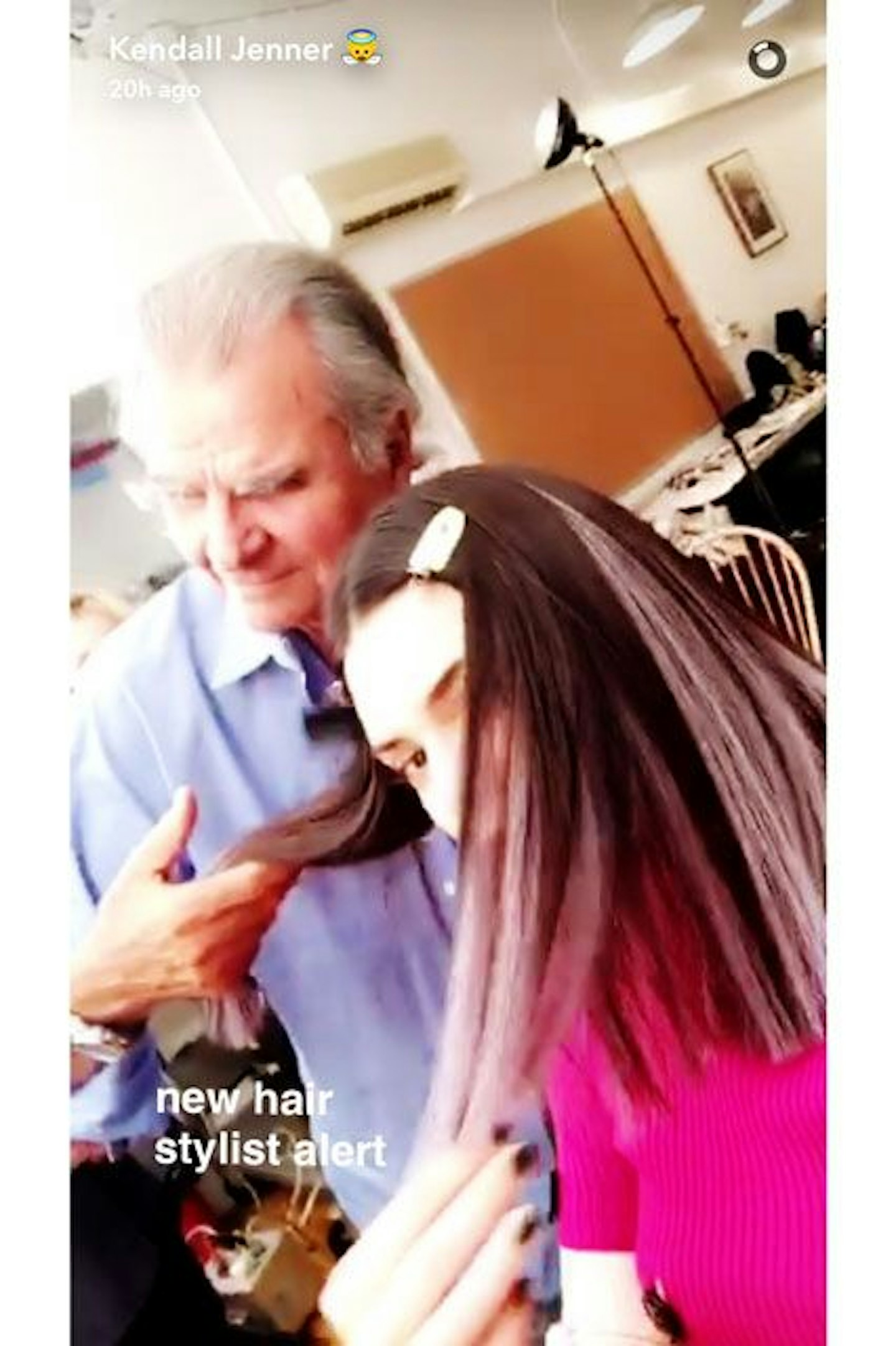 Kendall Jenner and Patrick Demarchelier purple hair
