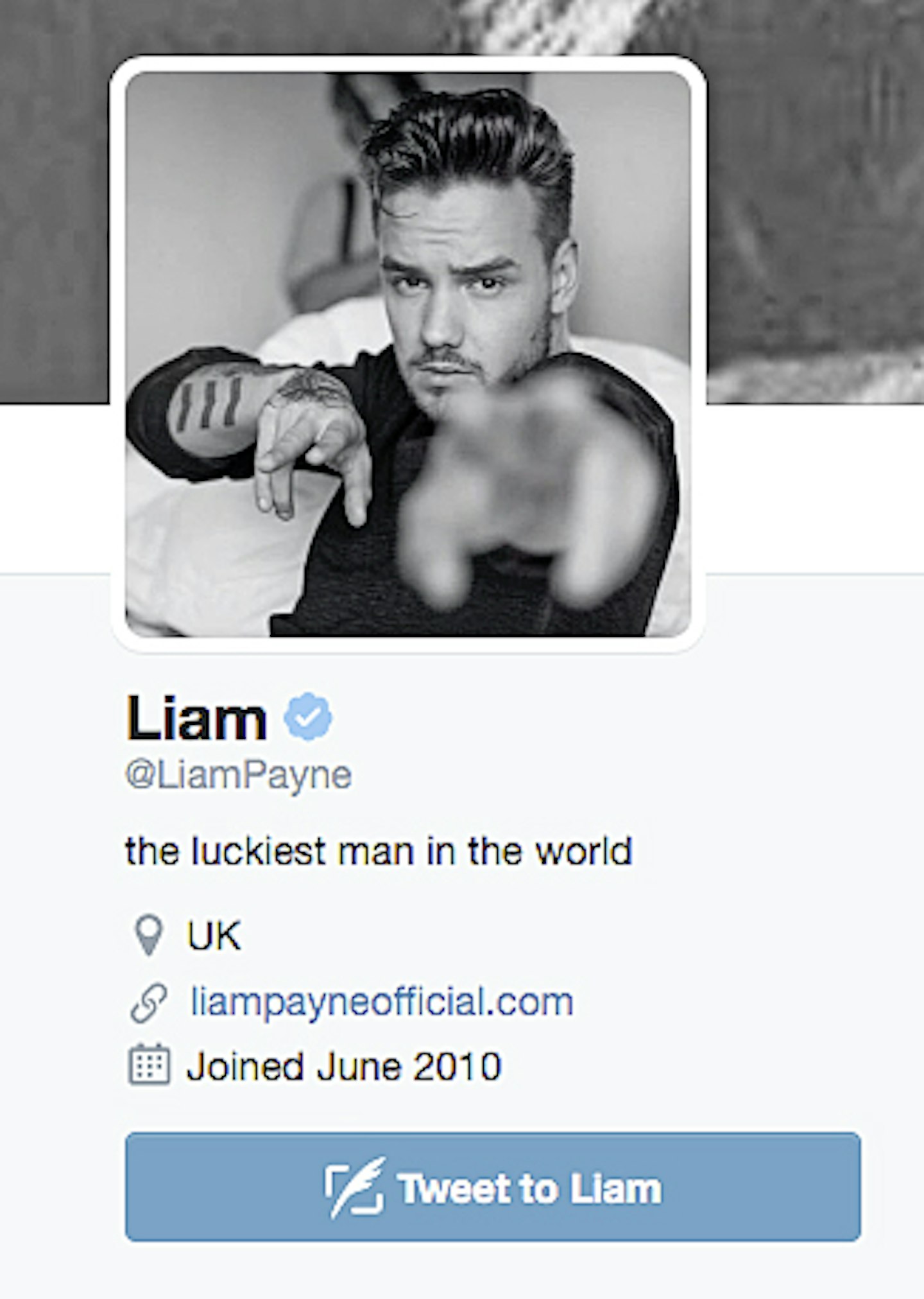 Liam-Payne-twitter-screenshot-bio-change-cheryl