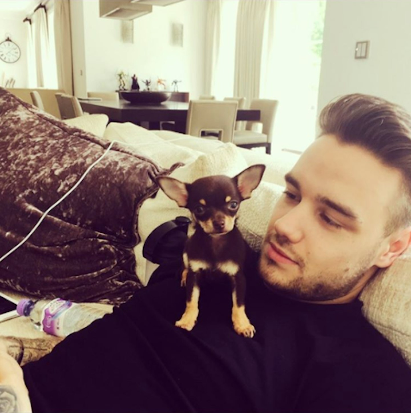 Liam Payne with new dog