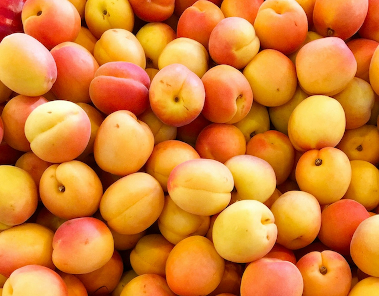 Lots of peaches