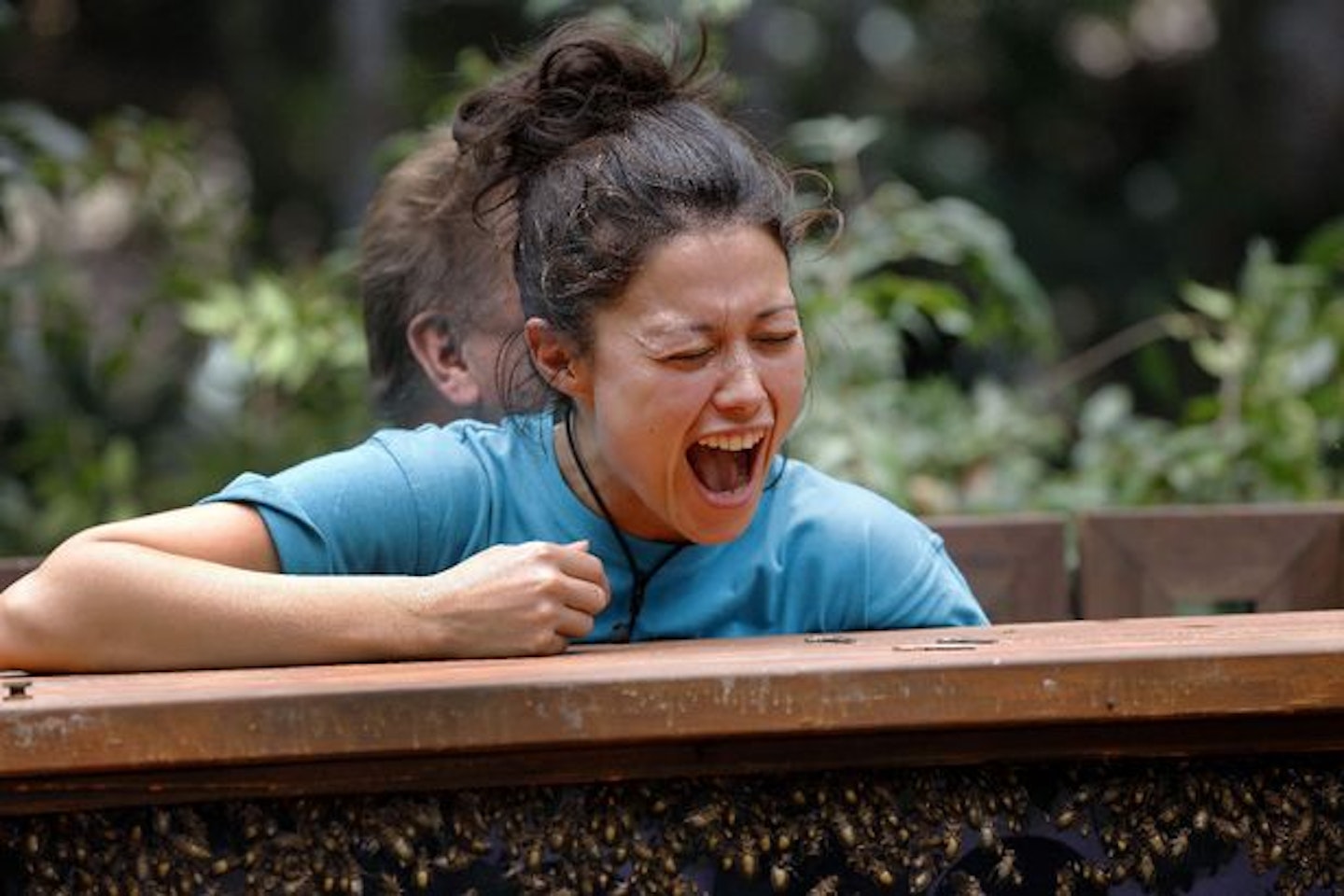 im a celeb