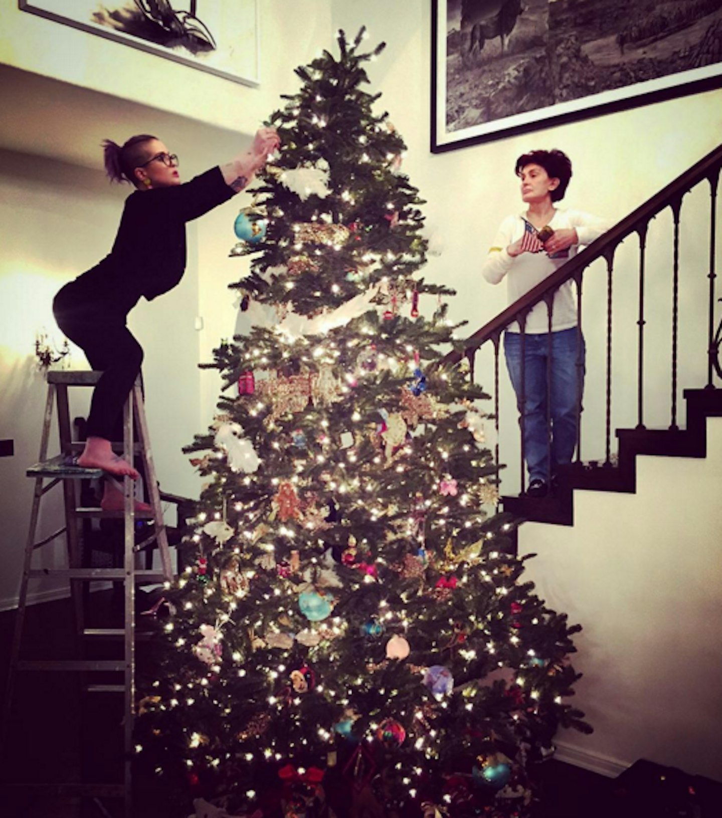 Celebrity Christmas Trees