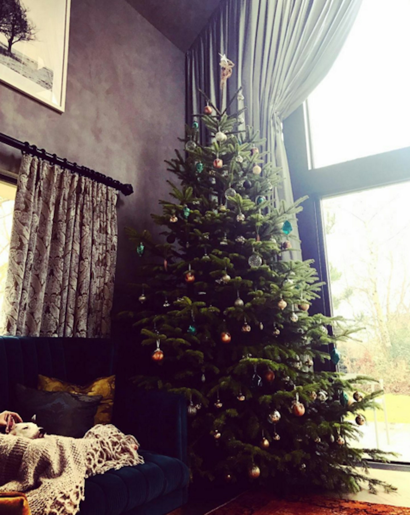 Daisy Lowe Christmas tree