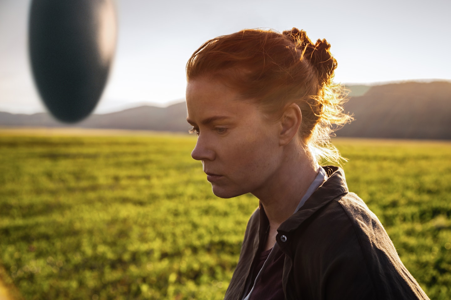 arrival amy adams