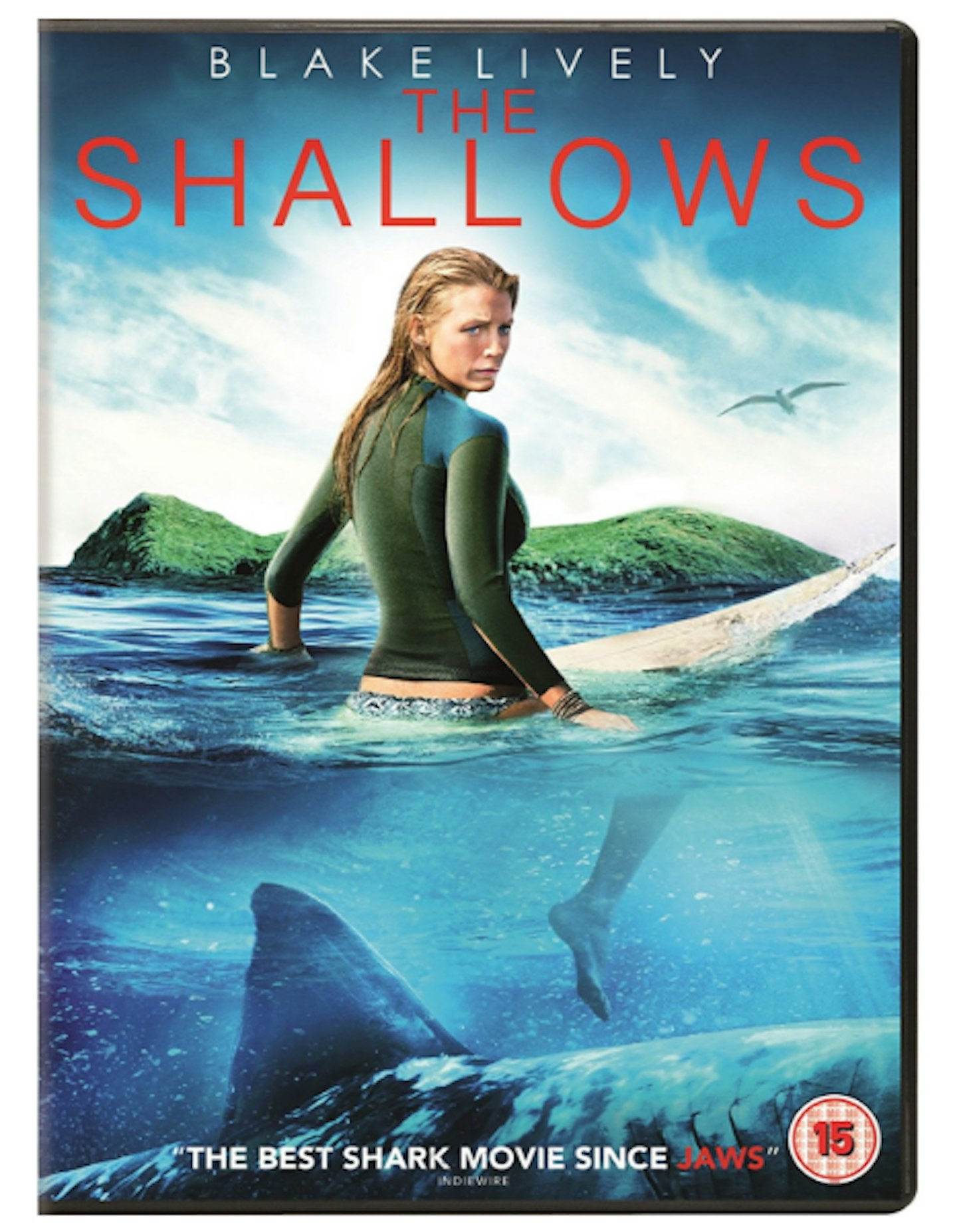 the shallows