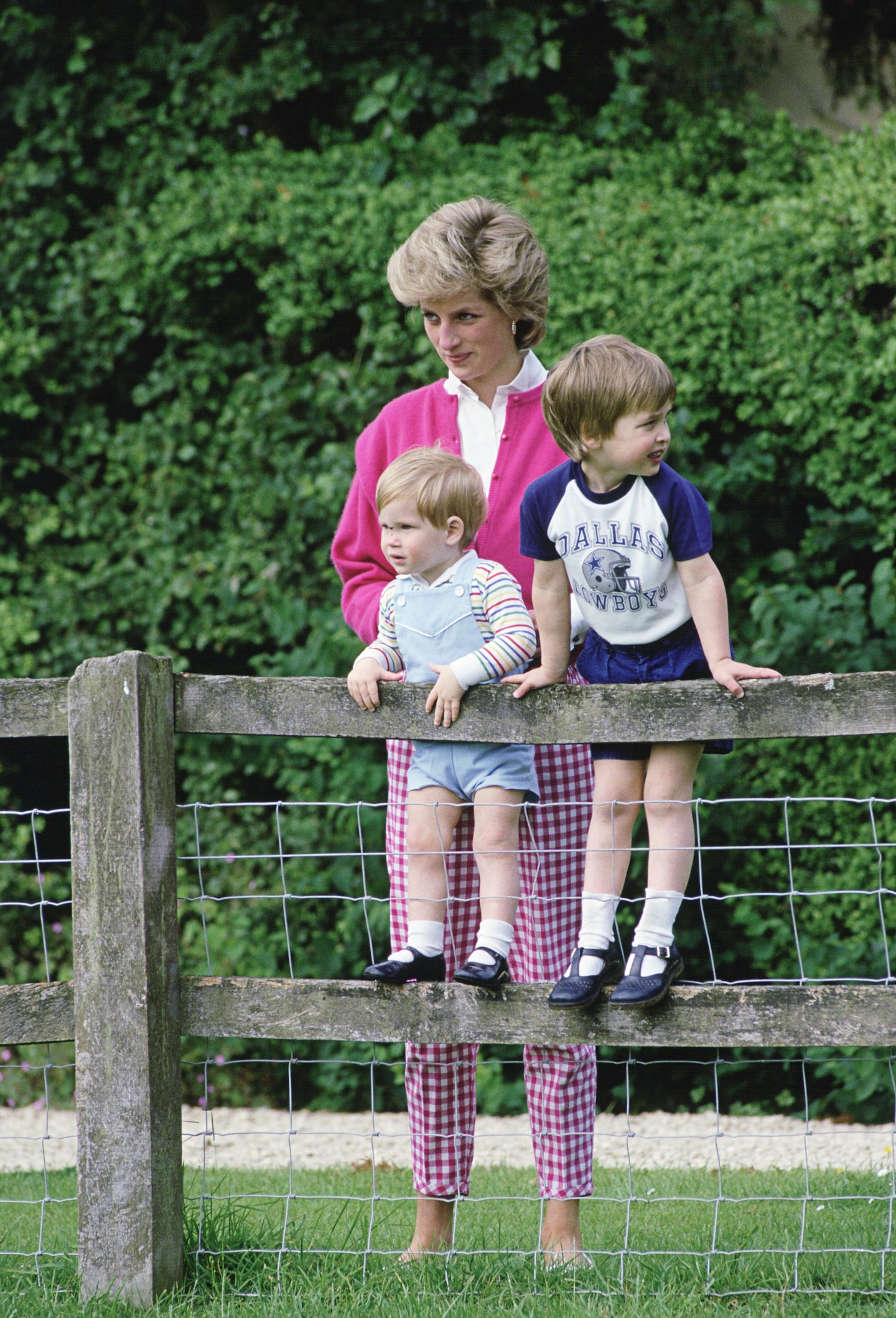 Prince William Princess Diana