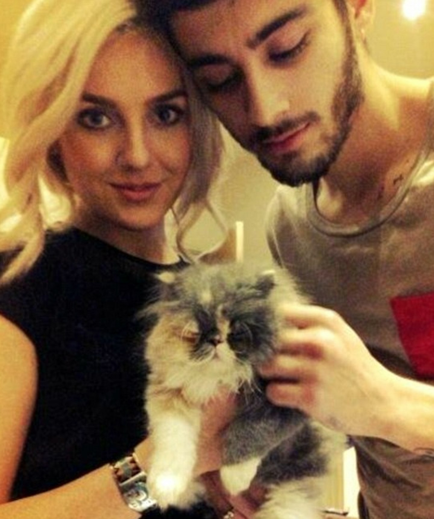 petrie edwards zayn malik cat