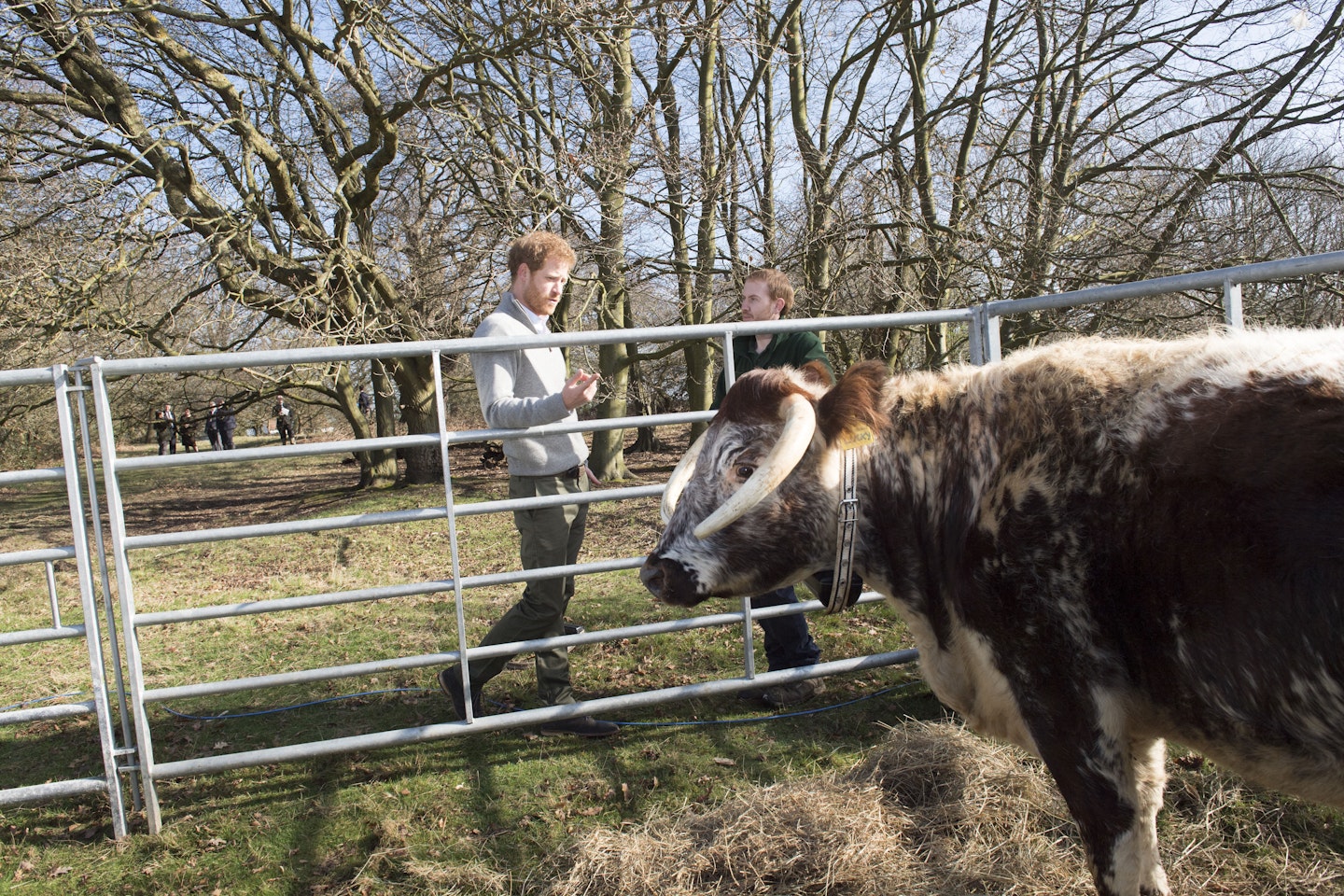 prince harry epping forest