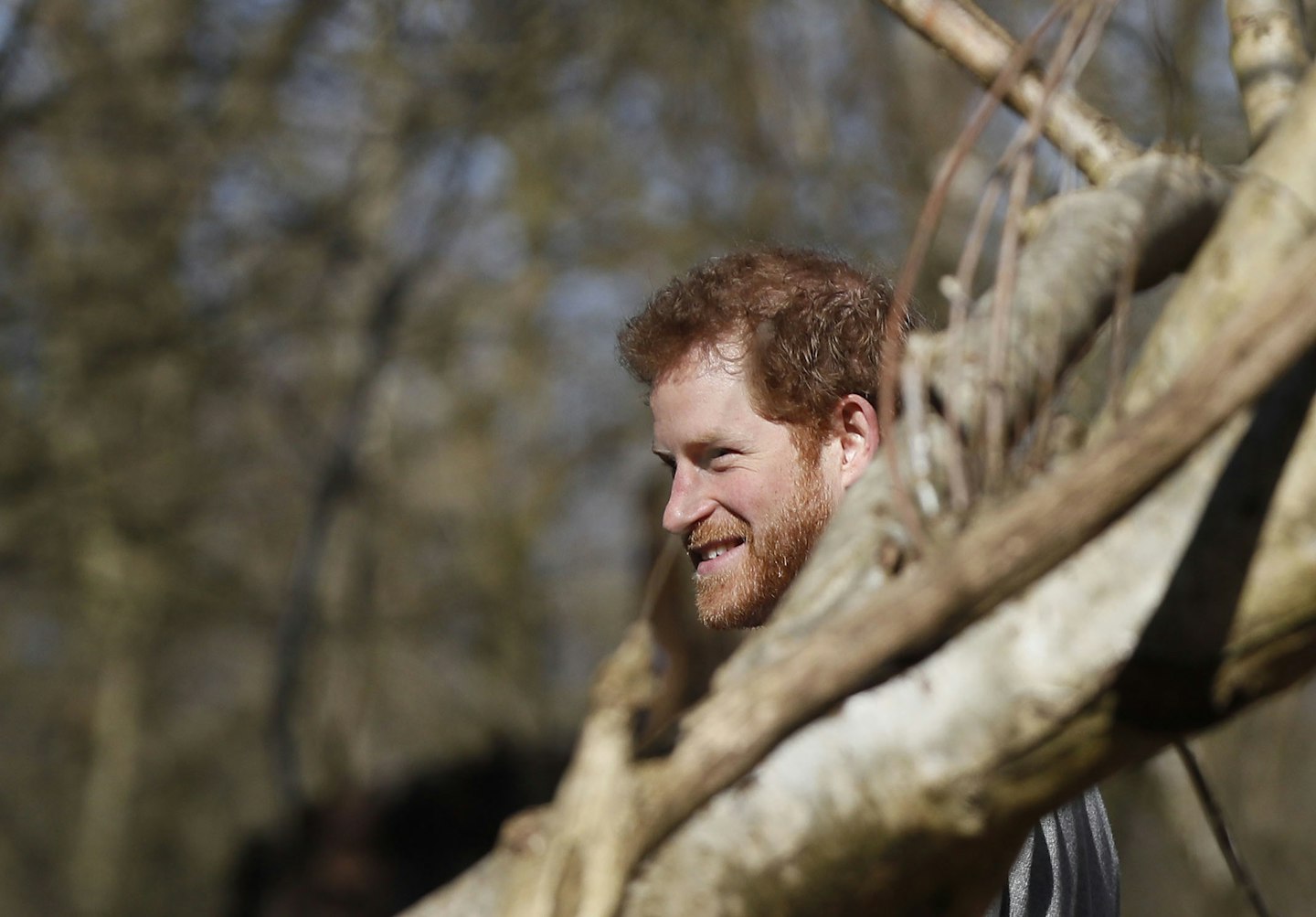 prince harry epping forest