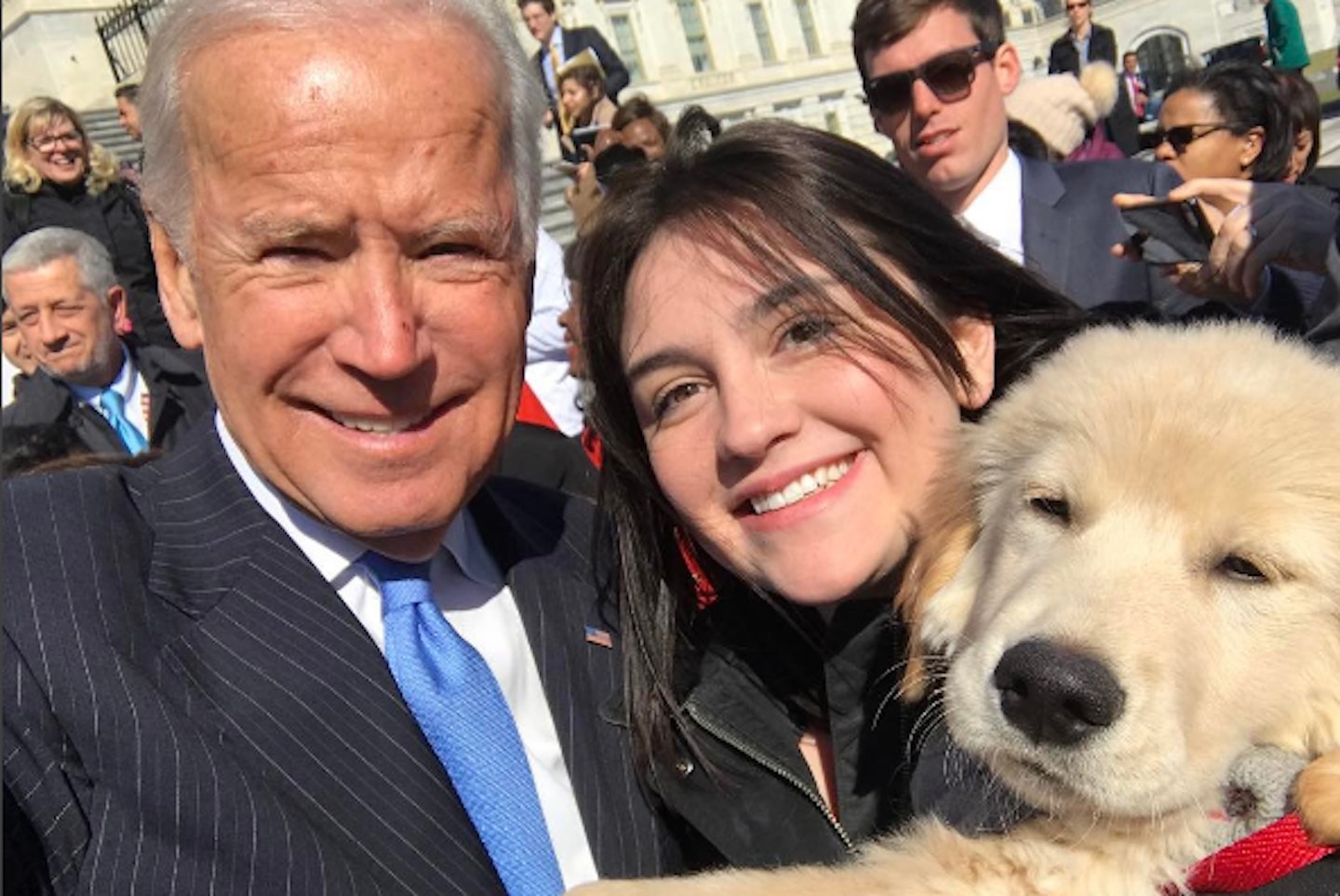 joe-biden-dog