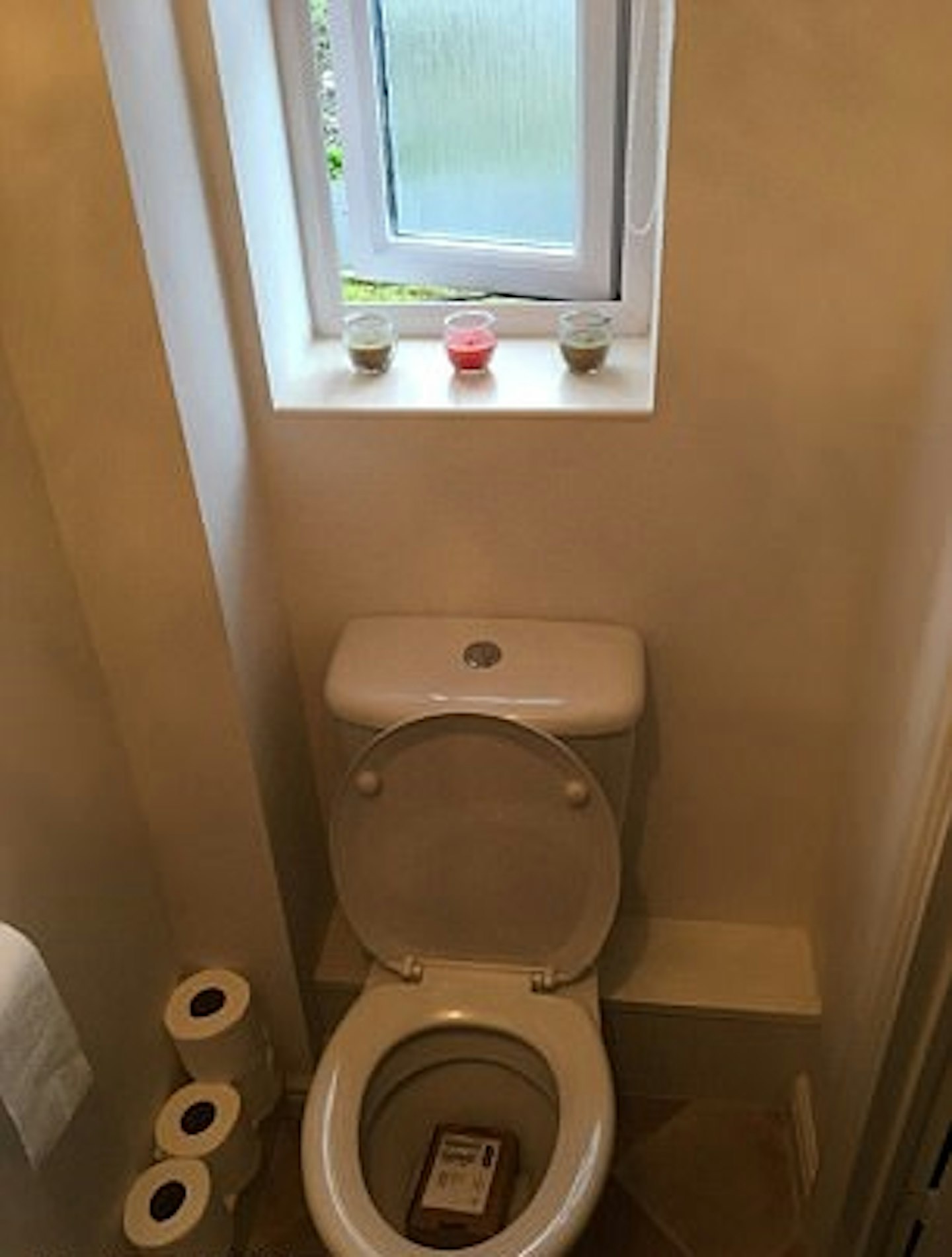 Toilet delivery story