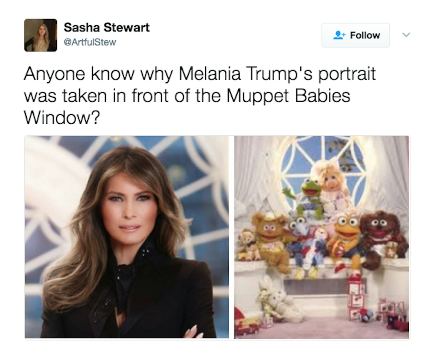 reactions to Melania Trump official white house photo 