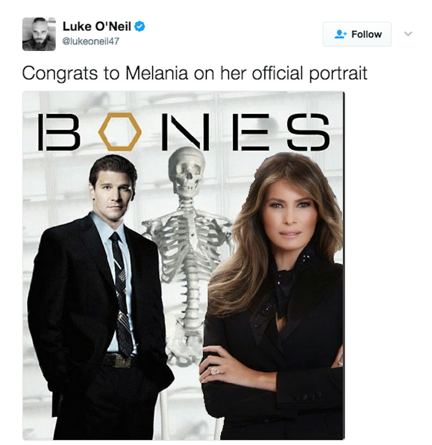 reactions to Melania Trump official white house photo 