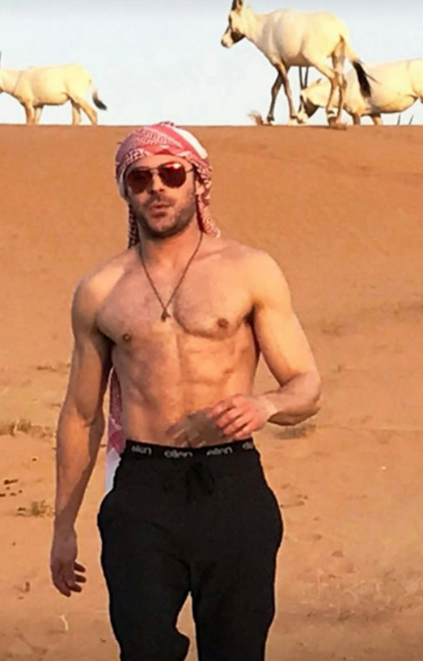 Zac-efron-topless