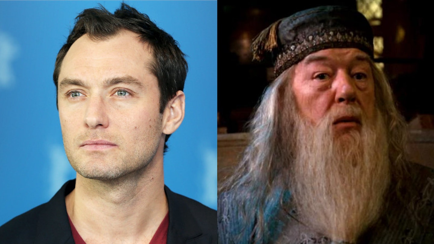 jude law as young dumbledore memes