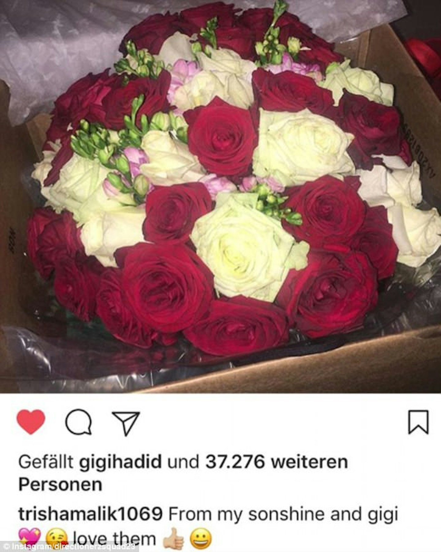 Zayn Malik's mum was involved in a instagram drama