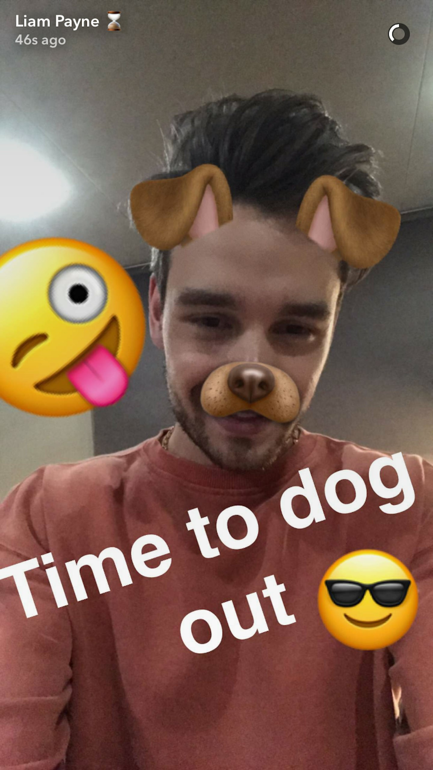 Liam payne snapchat username