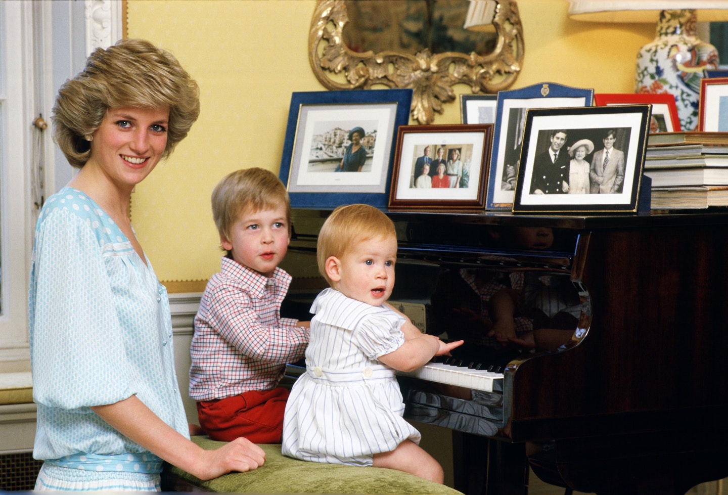 Princess Diana Prince Harry Prince William