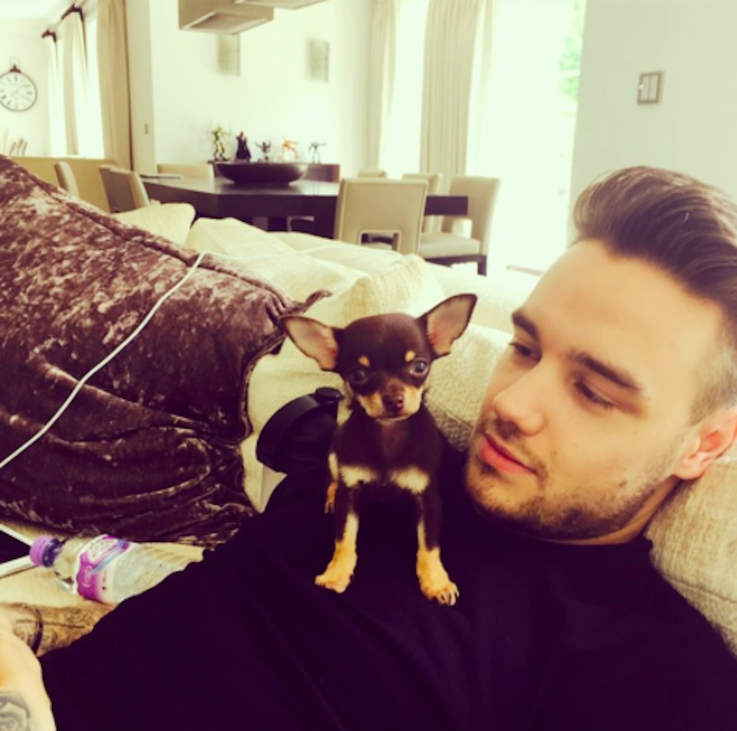 liam payne dog cheryl 