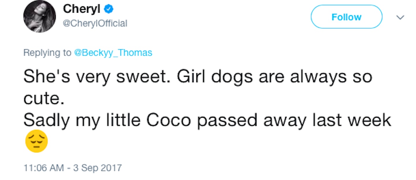 cheryl dog coco dies 
