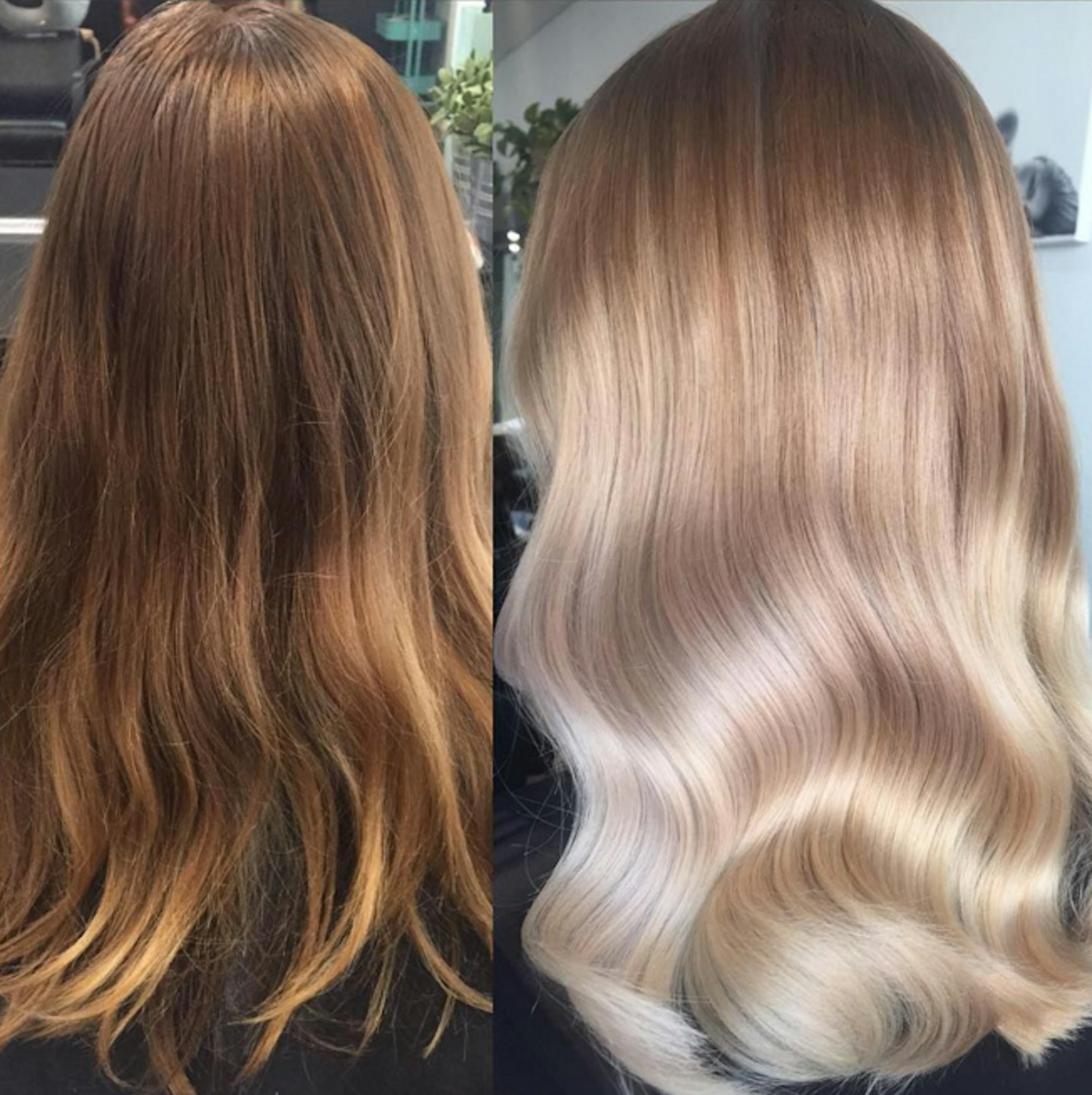 olaplex before and after