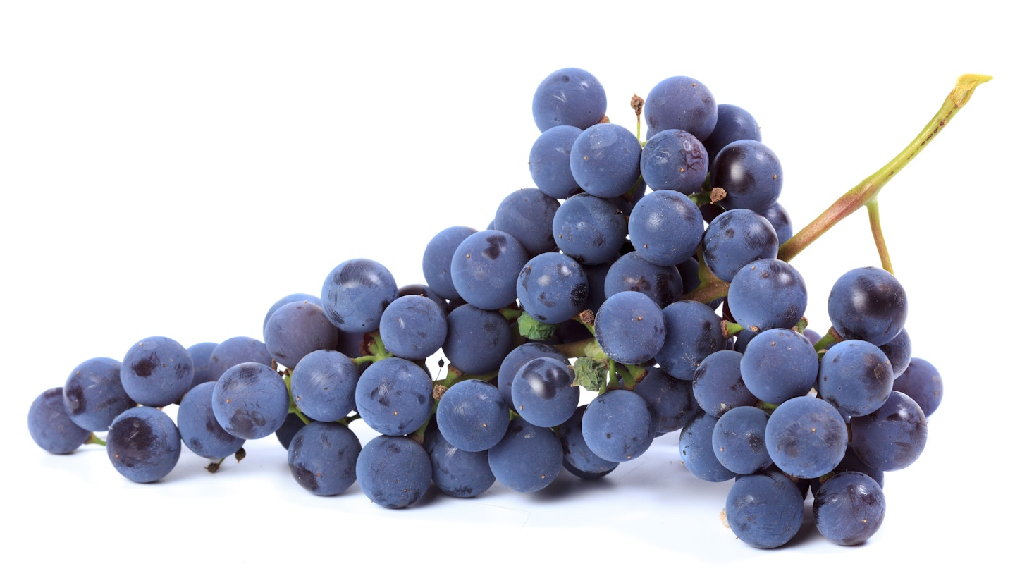 berries grapes