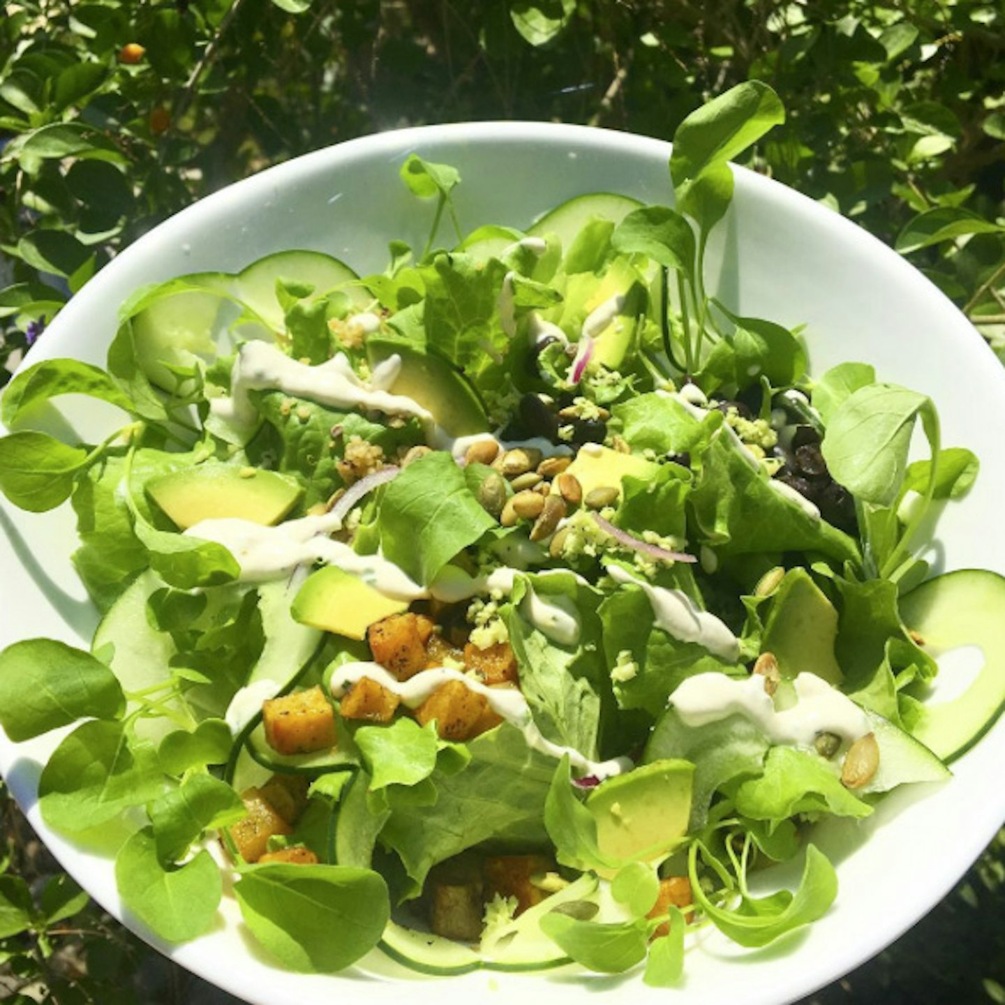 gisele diet holiday healthy raw salad organic