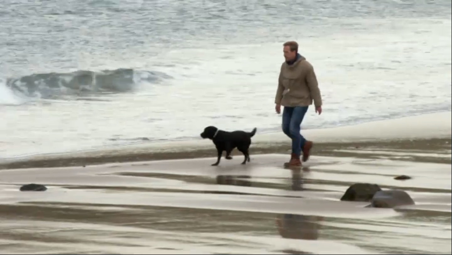 coastal walks withy dog c4 series tv