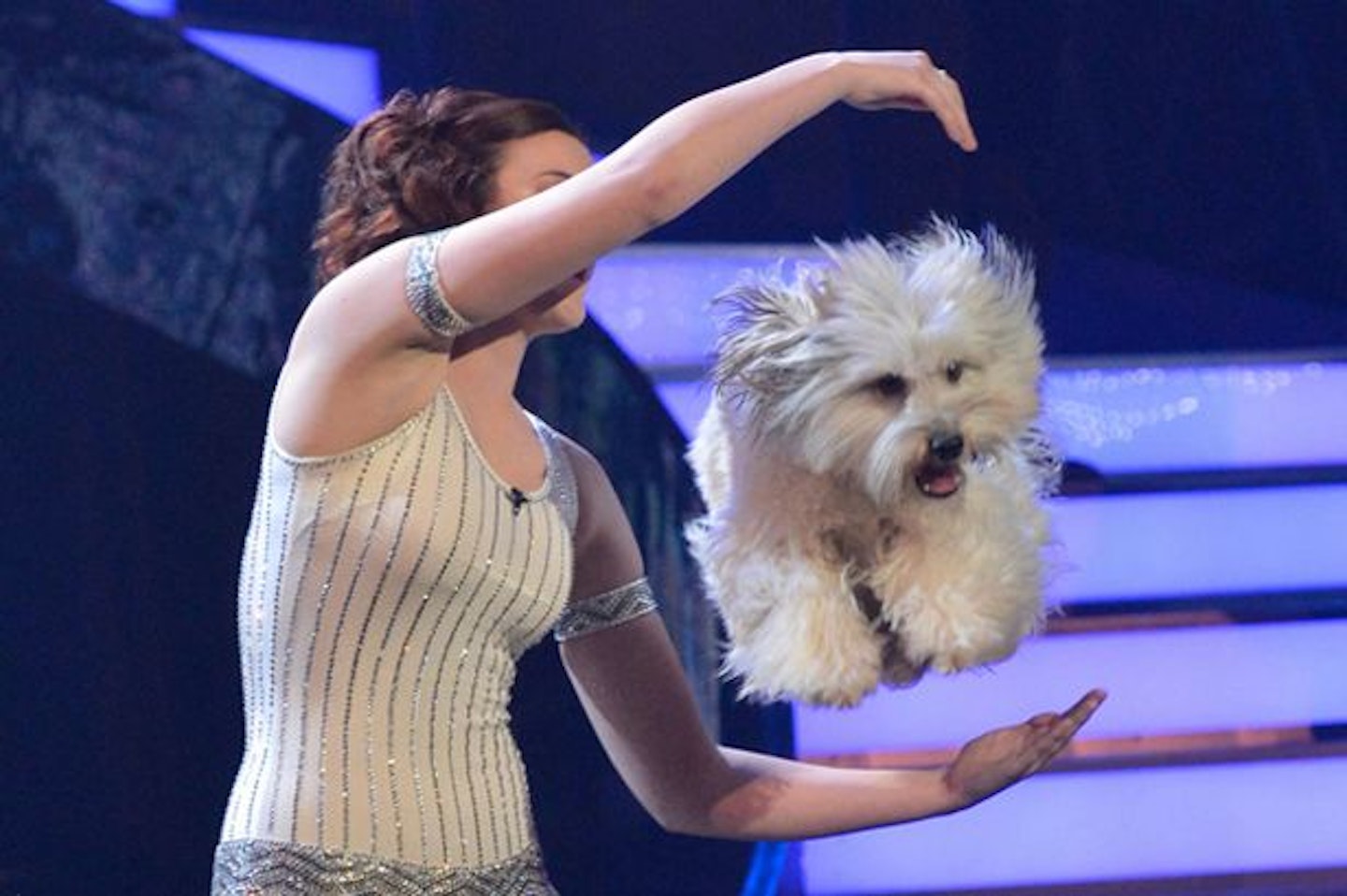 Britain's Got Talent Pudsey