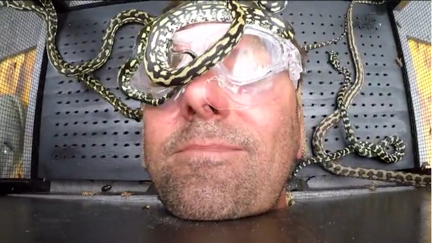 bushtucker trial